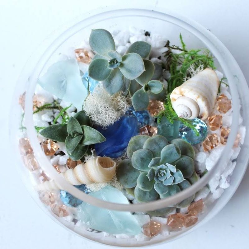 GTB Brunch x Craft - Terrarium Building Workshop