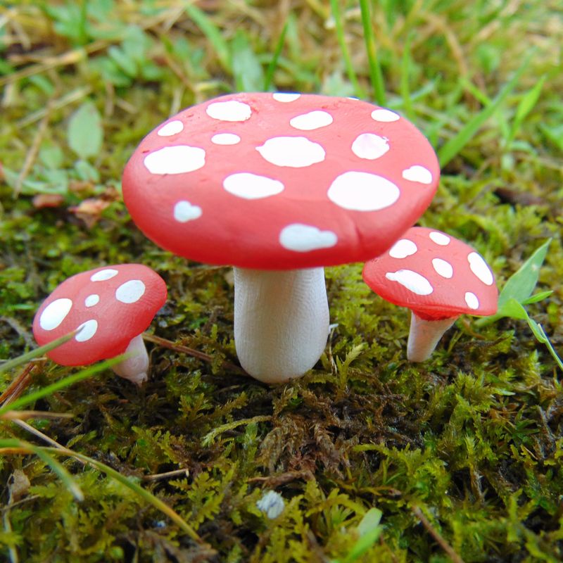 Fairy Garden Table and Chairs Set