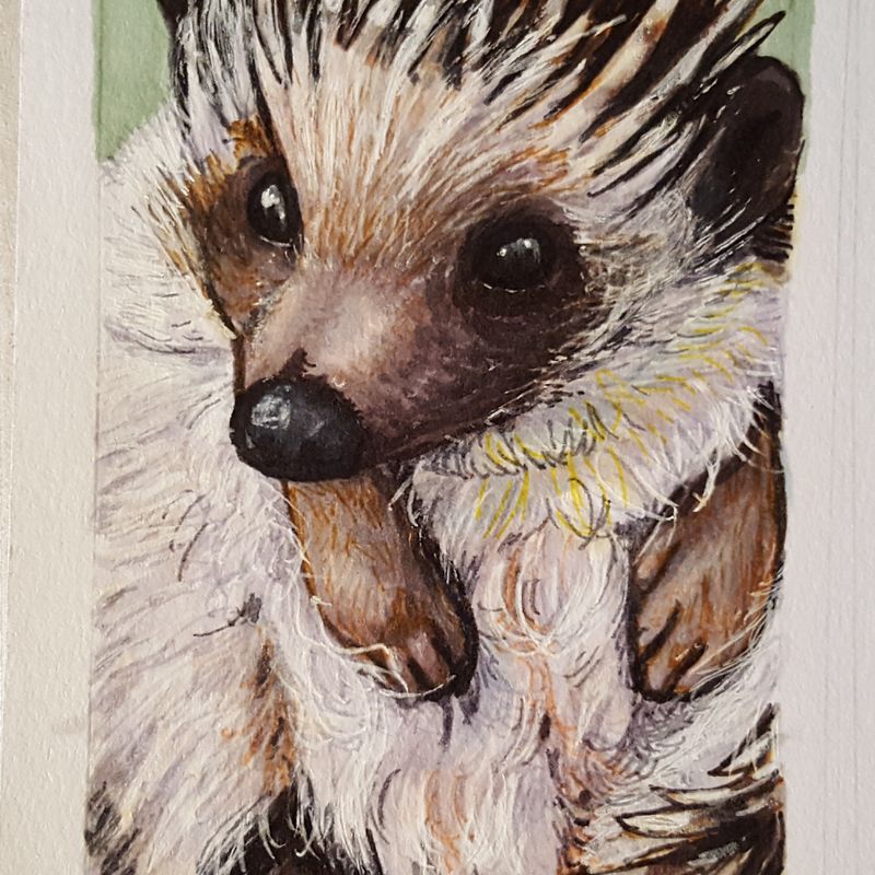 2"x3" Hand-painted Pet Portraits | Gift for Pet Owner, Animal Lover, Cat Lover, Dog Lover, Horse Lover | Pet Memorial, Pet Remembrance, Pet Loss