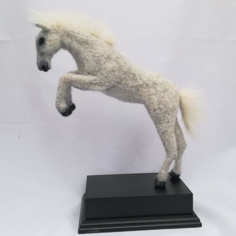 Silver, black beauty,and Indian Paint