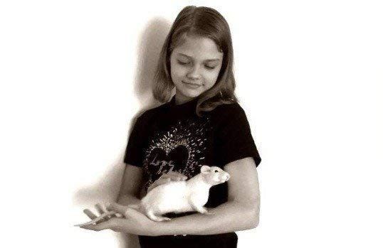 White laboratory rat doll