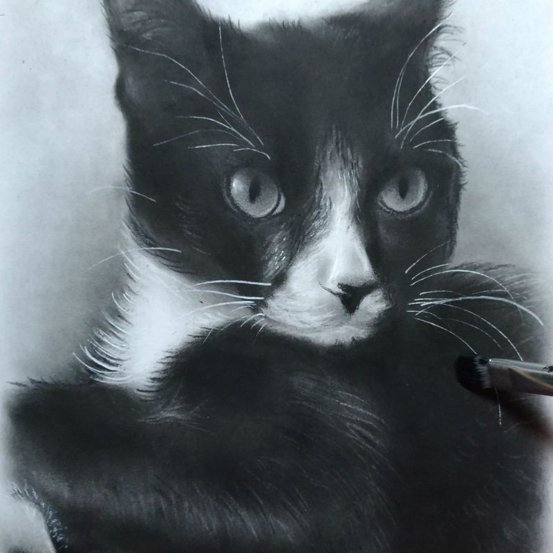Custom pet portrait from photo, Oil on paper