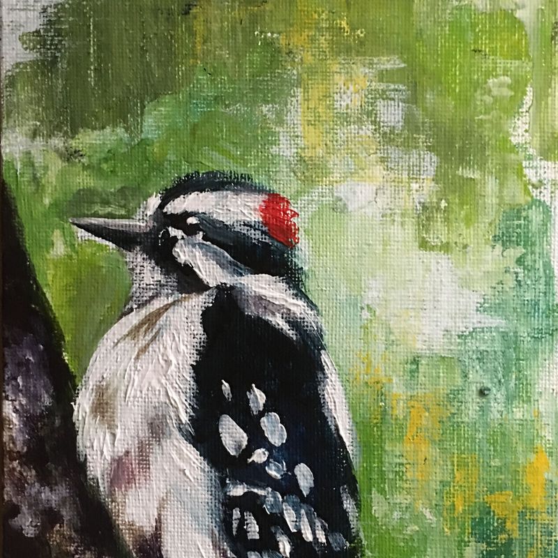 woodpecker