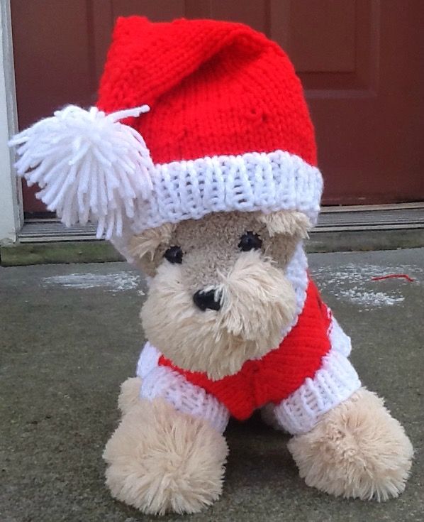 Santa paws Christmas petite dog sweater set