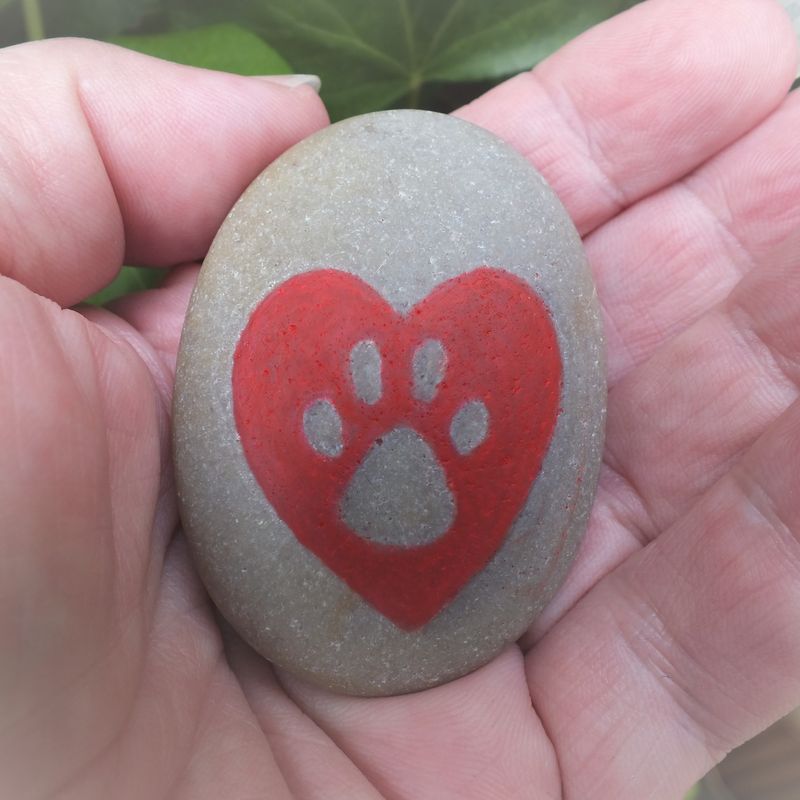 Paw print on your heart pebble