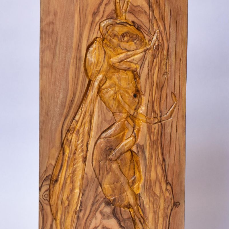 Wasp wood relief, handmade carving, olive wood sculpture, honey gold