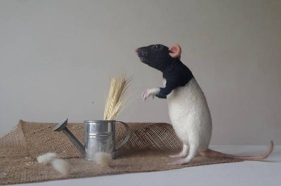 Pet rat portrait Memorial art doll Custom needle felted animal