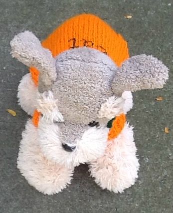 Trick or treat petite dog sweater