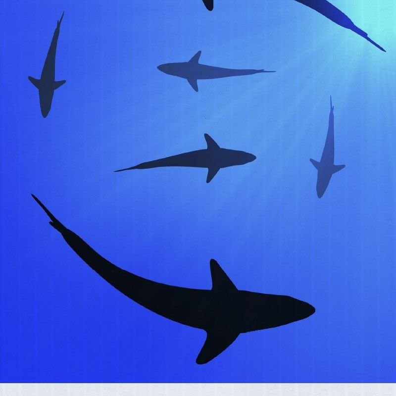 Super-Smooth Corrugated Plastic | CoreX and Coroplast Outdoor Signs