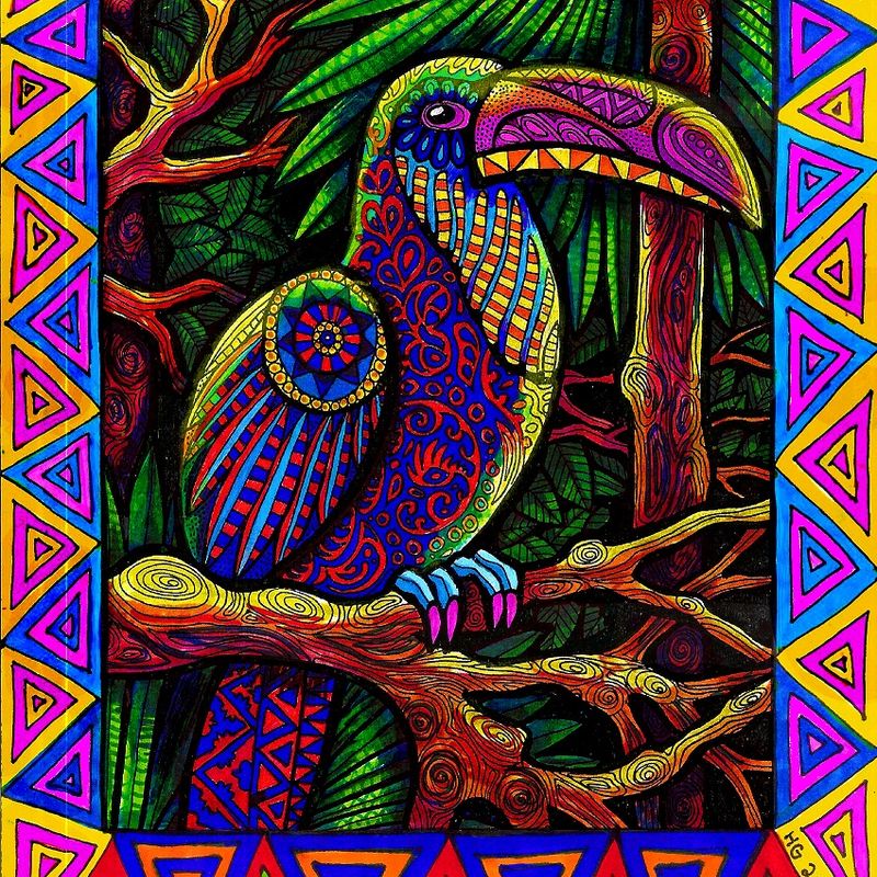 Colors of the Toucan