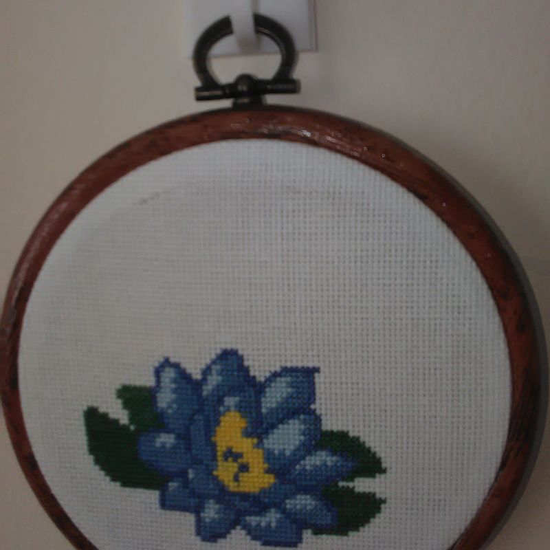 Blue Waterlily Wall Hanging Frame