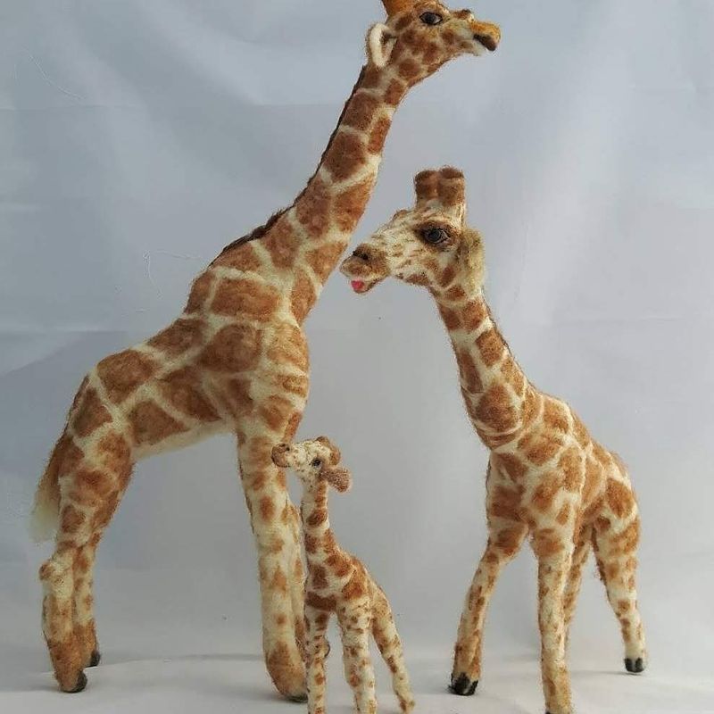 Giraffe family