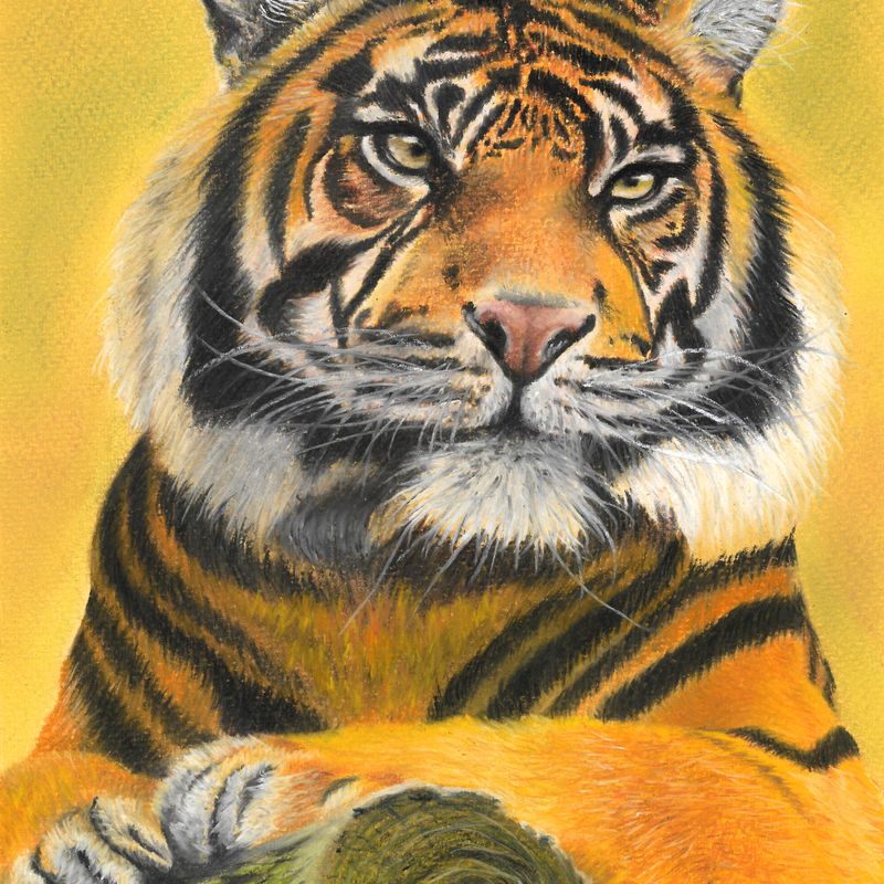 Tiger | Wildlife painting in soft pastels