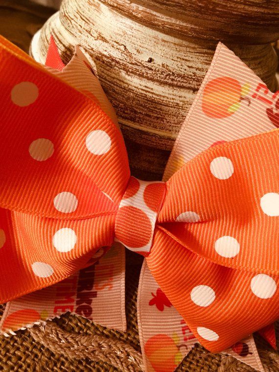 Boutique Hair Bow with Alligator Clip with Free Shipping