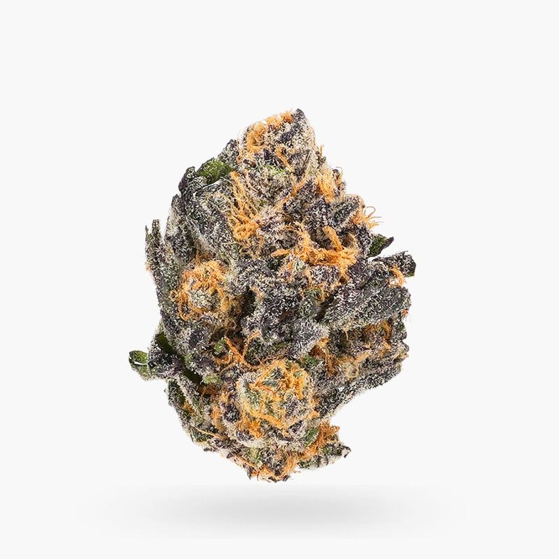 Buy Black Cherry Punch (AAAA) Weed Online | Calming and Relaxing Strain