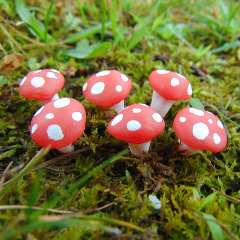 Red Fairy Garden Mushrooms