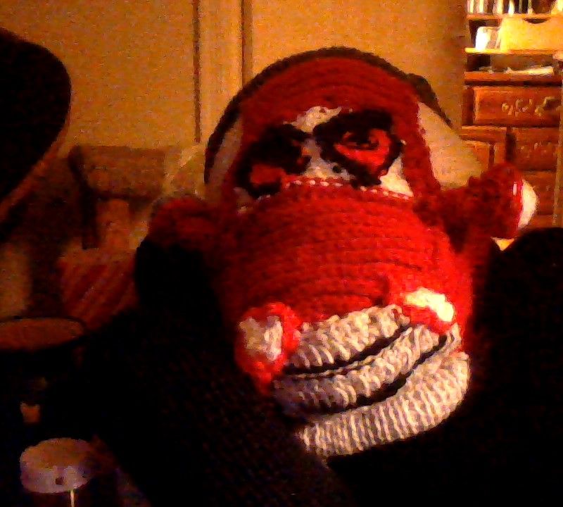 shell's craft corner