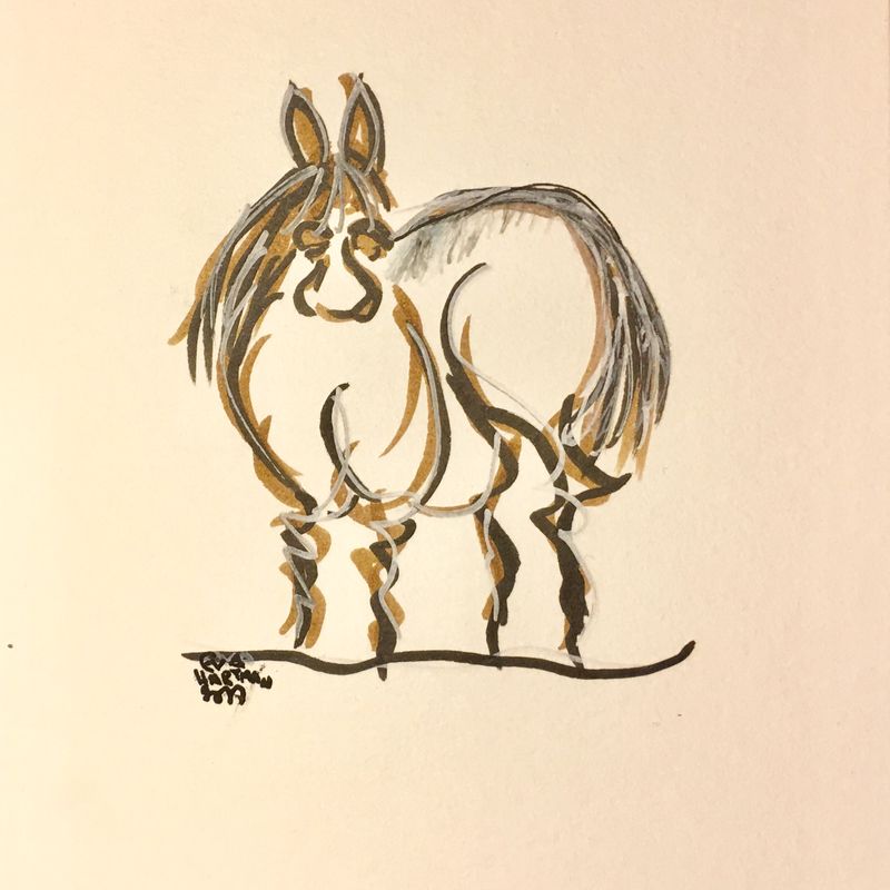 Horse/Mule/Donkey