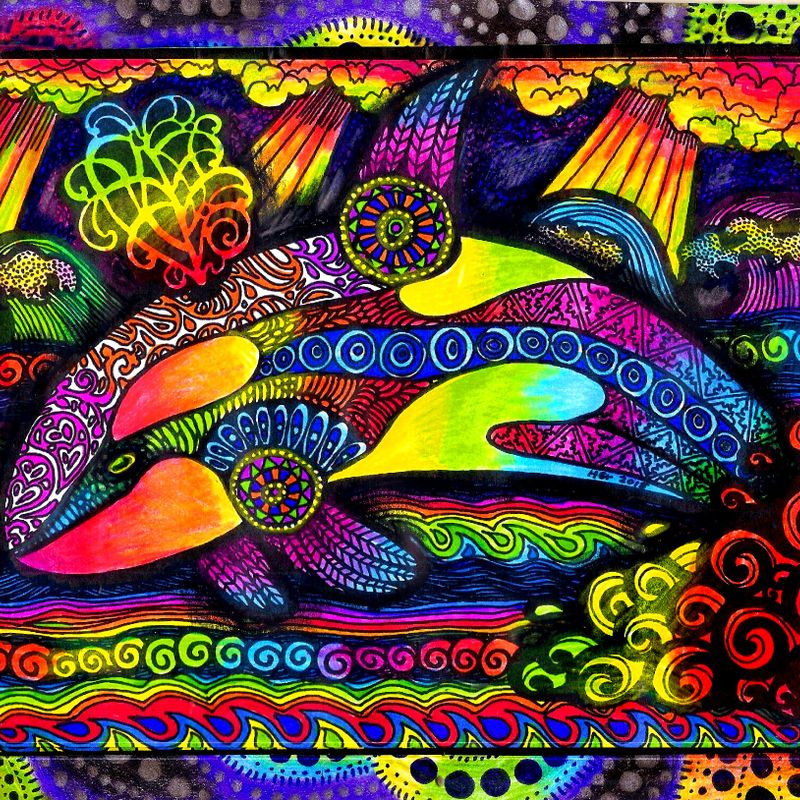 Colors of the Orca