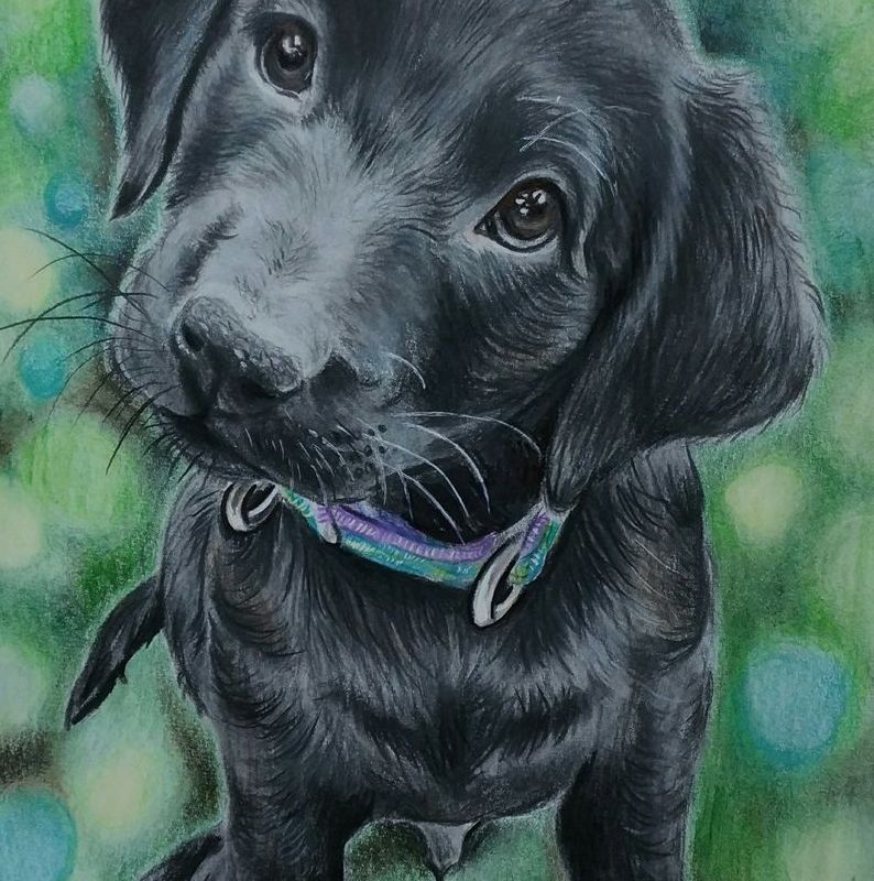 Pet/Dog/Cat Custom portrait from photo