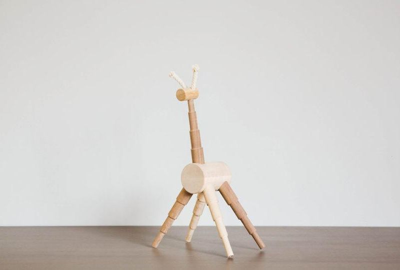Designer Wooden Toys