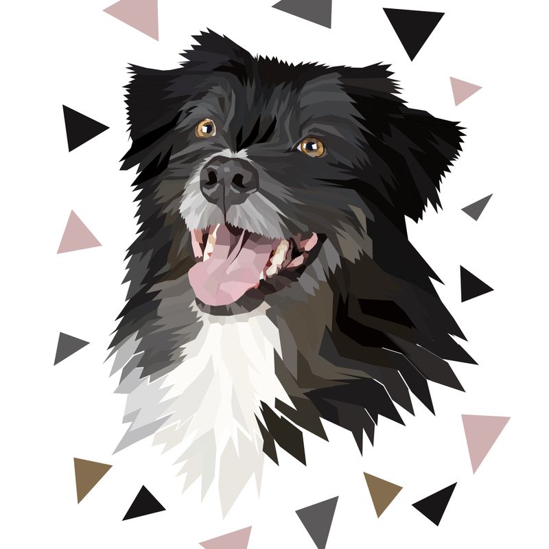 Custom Pet Portrait From Photo
