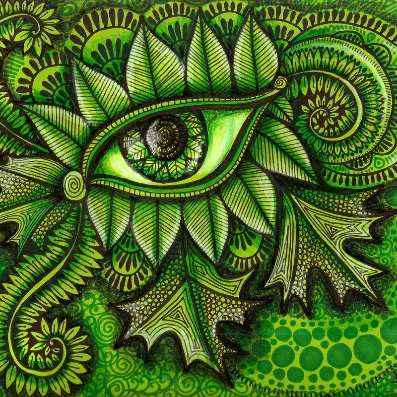 Nature Eye