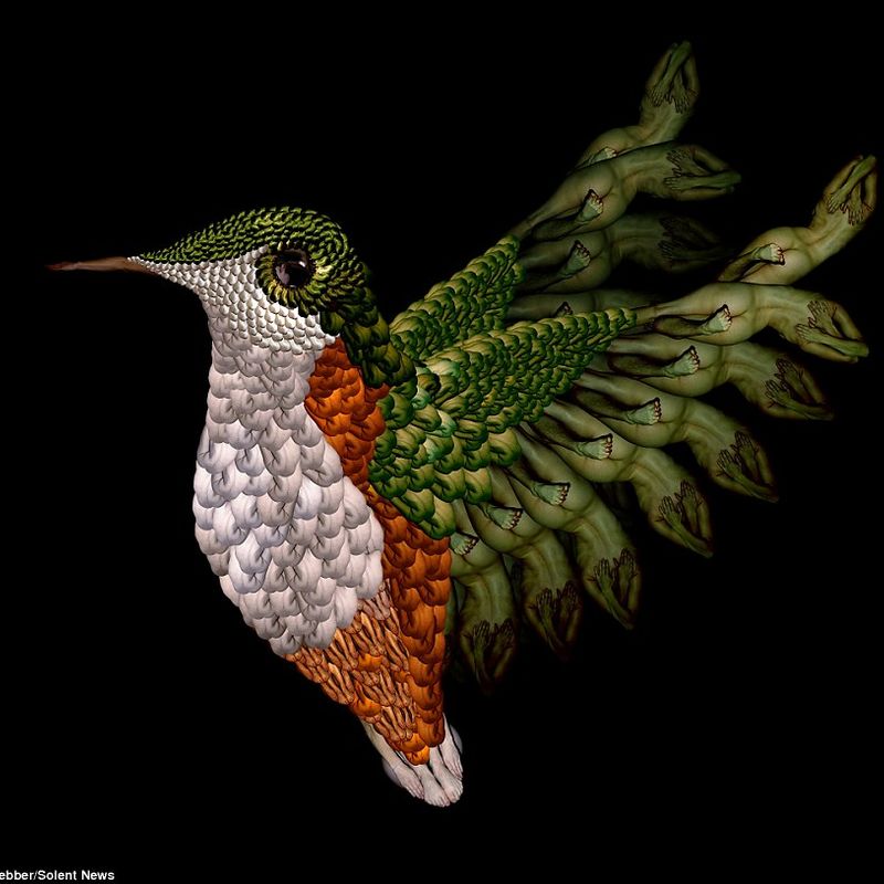 Cecelia Webber’s Nude Flowers and Animals