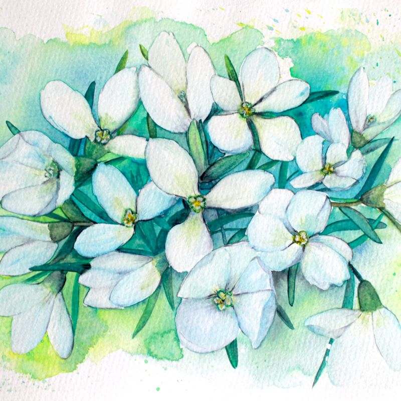 Snowdrops watercolor / watercolor flower wall art /white flowers painting