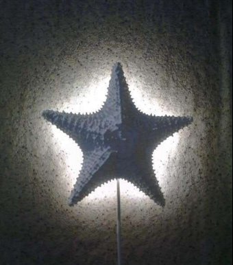 Handmade star-shaped lamp