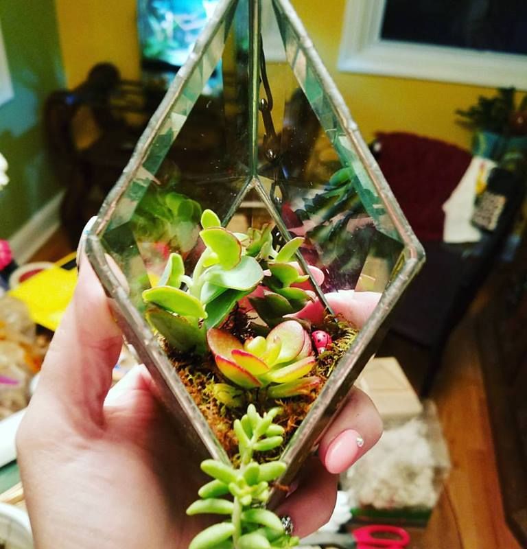 Hanging Bevel Prism with succulents