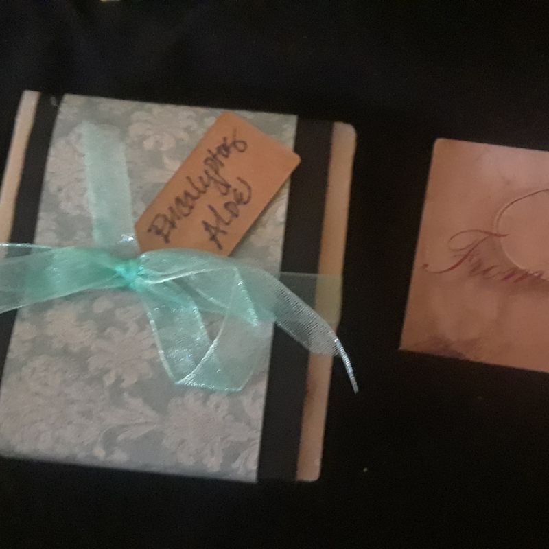 Eucalyptus Aloe Handmade Soap