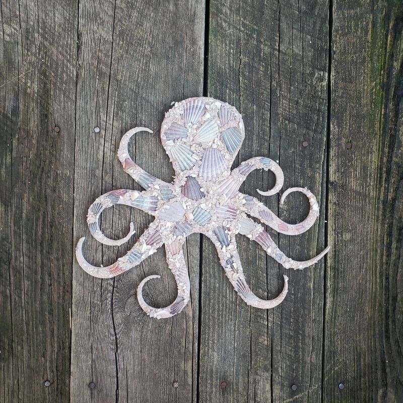 Shell Covered Octopus