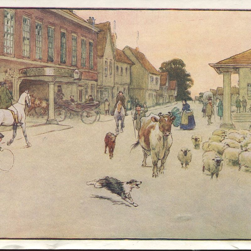 Cecil Aldin Vintage Antique Art Print-Color-Black Beauty-Horses-At Market-c1930