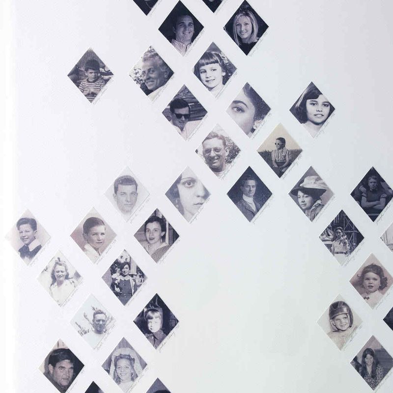 Cool DIY Family tree decoration for your home.