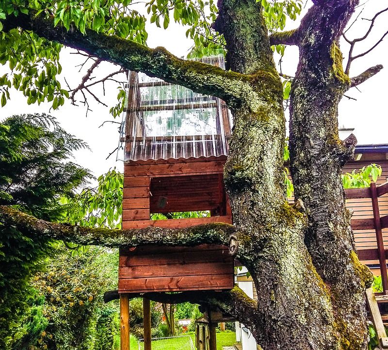 How to build a treehouse?