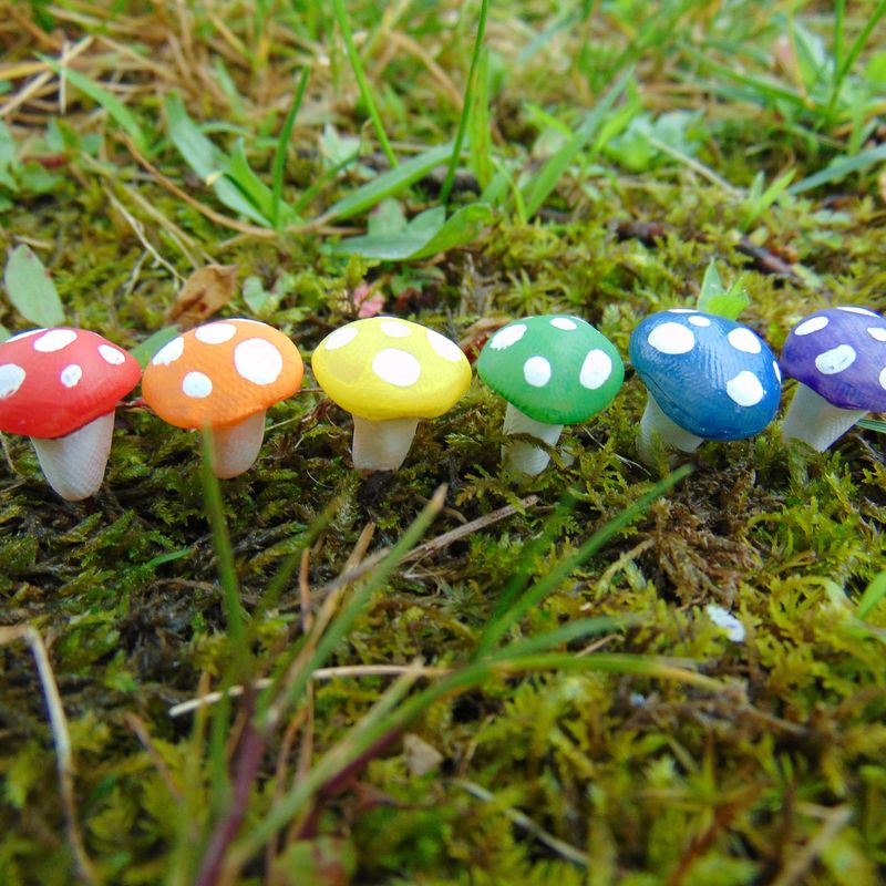 Rainbow Fairy Garden Mushrooms
