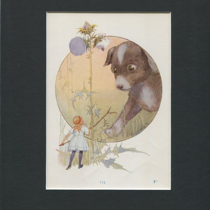 Margaret Tarrant Small Vintage Lithograph Plate-Alice in Wonderland The Puppy