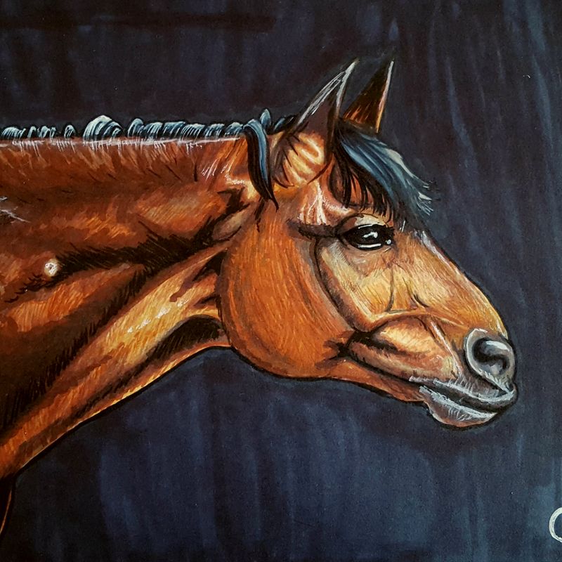 11"x14" Hand-painted Pet Portraits | Gift for Pet Owner, Animal Lover, Cat Lover, Dog Lover, Horse Lover | Pet Memorial, Pet Remembrance, Pet Loss