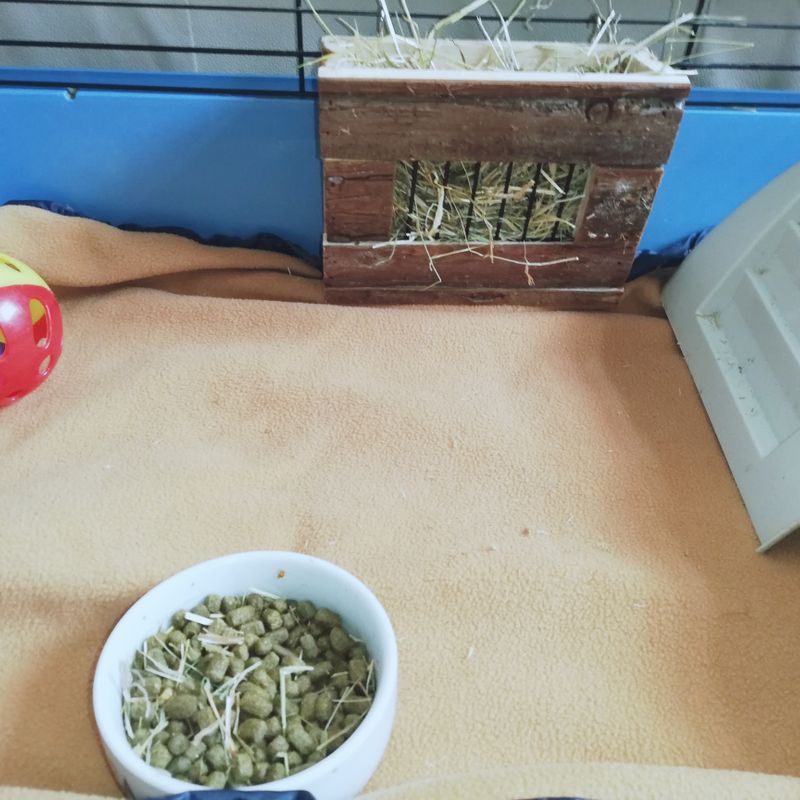 Handmade bespoke Fleece cage liners. For Guineapigs, Rabbits, Rodents and Hedgehogs.